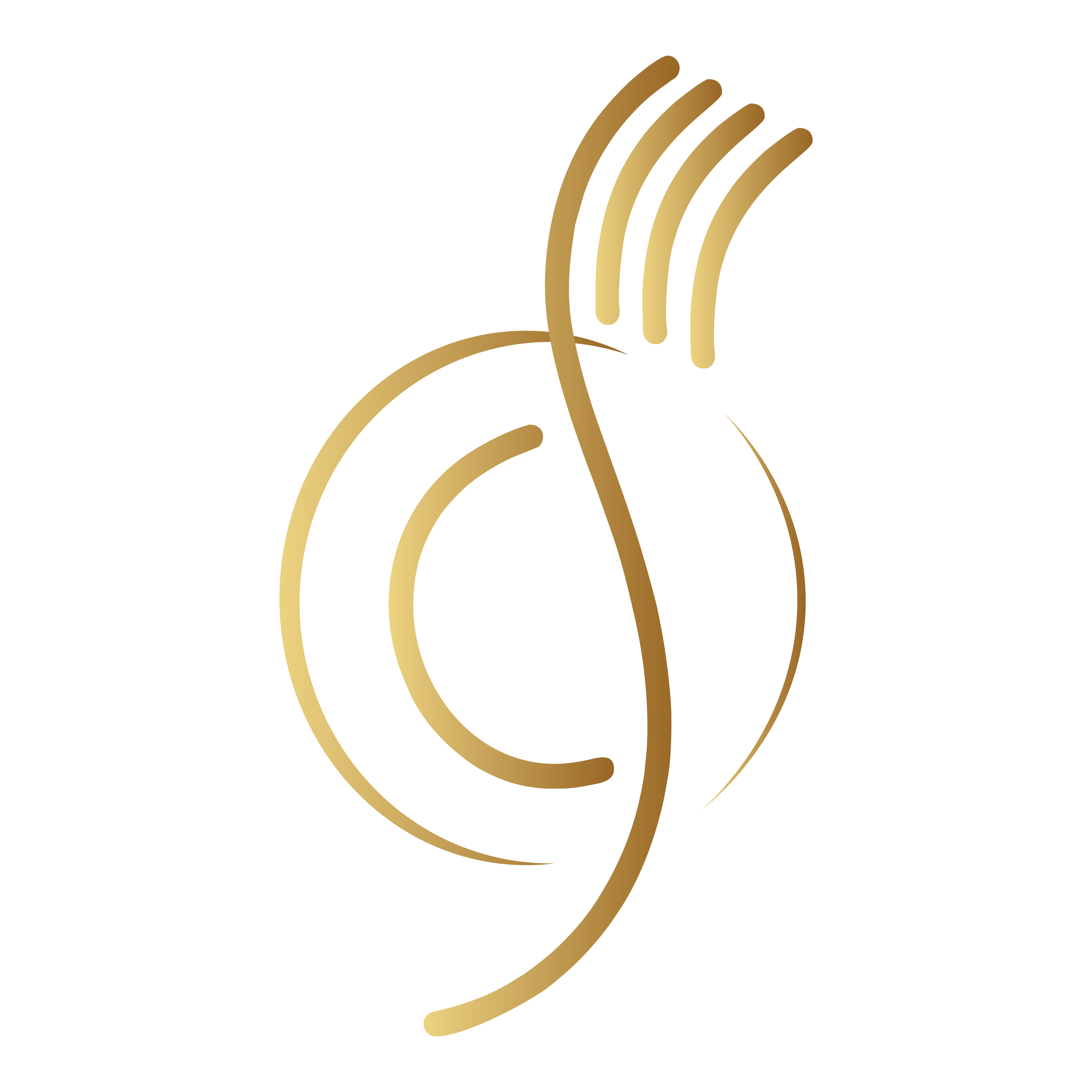 Shahi Caters — CATERERS in BIKANER in JAIPUR | Cosmical Events